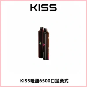 KIS5WAGOO哇酷6500口拋棄式 | 自由混搭雙口味 | 雙芯組合